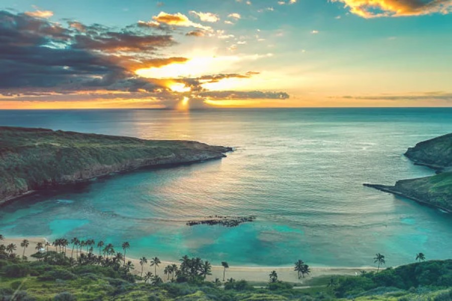 Tropical Sunrise